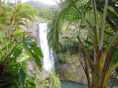 Waterval in jungle van St Lucia