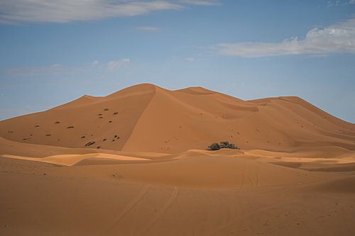 Karakteristieke warm-oranje duinen in Erg Chebbi