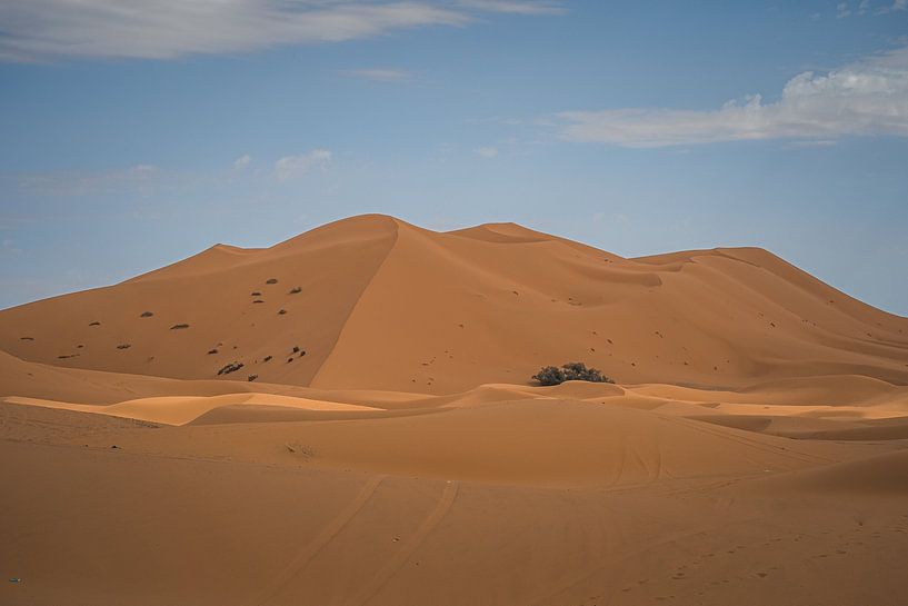 Characteristic warm-orange dunes at Erg Chebbi by Tobias van Krieken