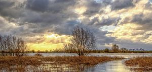 Langs de Rijn