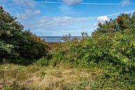 Herrlicher Blick auf das Norddeutsche Wattenmeer von Thomas Riess Miniaturansicht