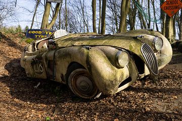 Verlaten Jaguar van Leoniek van der Vliet