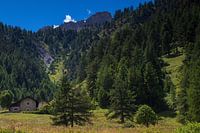 Paysage des Alpes françaises près de Nevache