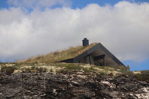 Noors huis met gras op het dak