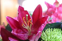 Bloemen