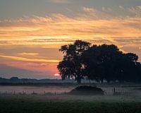 Sunset in the Betuwe