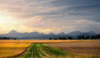 1677 Volcans d'Auvergne