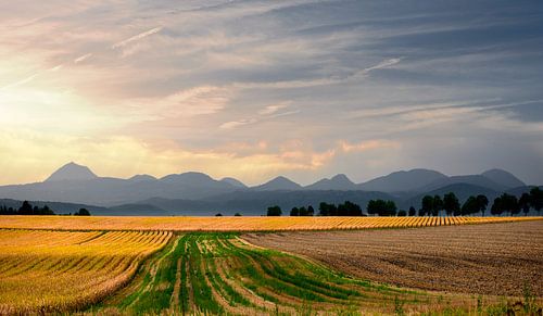 1677 Volcans d'Auvergne