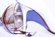 das zertretene Weinglas (1) van Norbert Sülzner thumbnail