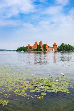 Waterlelies in het Galve meer met het kasteel van Trakai