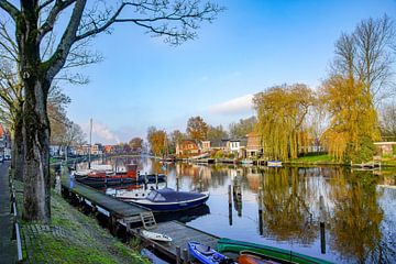 Zicht op de Vecht in Weesp van Dirk van Egmond