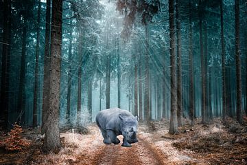 Magnifique paysage avec un rhinocéros dans les bois sur Made by Voorn