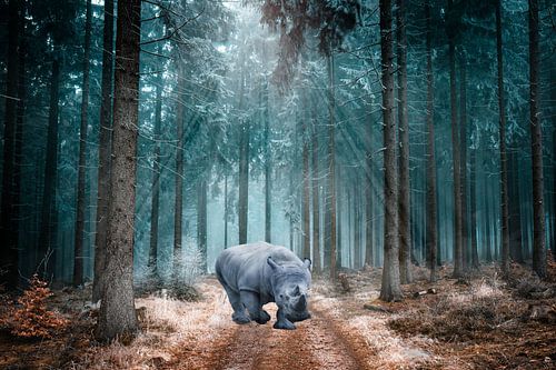 Beautiful scenery with rhino into the woods