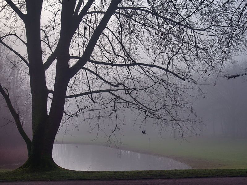 Mistvijver 1 van Edgar Schermaul