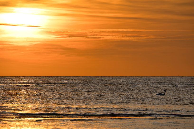 Zonsondergang op het strand van Poel met zwanen van Martin Köbsch