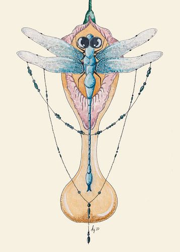 De libelle en de kelk