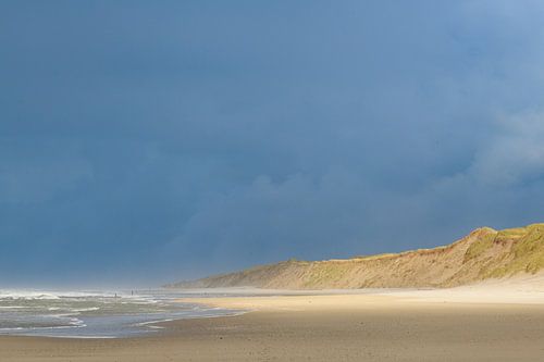 Vagues sur la plage de l'île de Texel dans la région de la mer des Wadden