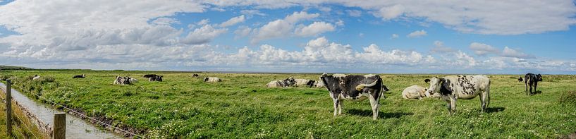 Panorama met uitzicht op koeien by Tieme Snijders