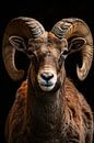 Impressive Aries with Elegant Curly Horns by Art & Soul Creations thumbnail
