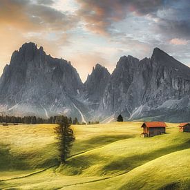 Prairie alpine avec refuge de montagne sur l'Alpe di Siusi dans les Dolomites sur Voss Fine Art Fotografie