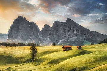 Alpine meadow with mountain hut on the Alpe di Siusi in the Dolomites by Voss Fine Art Fotografie