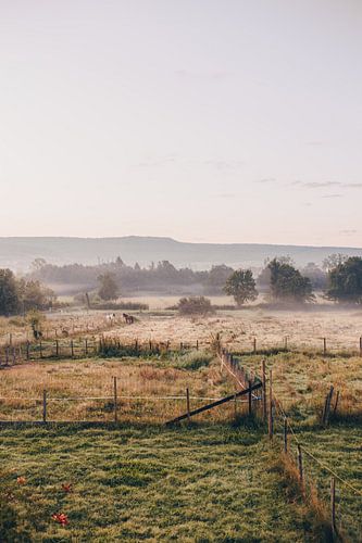 vol de rêve en terre française sur NIQ NIQ - Nikeline Vreeke