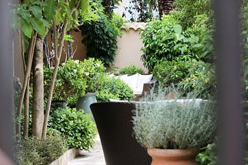 Courtyard in Saint Tropez - South of France by whmpictures .com