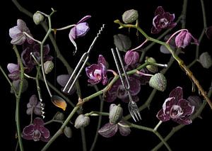Orchidea diapasona van Olaf Bruhn
