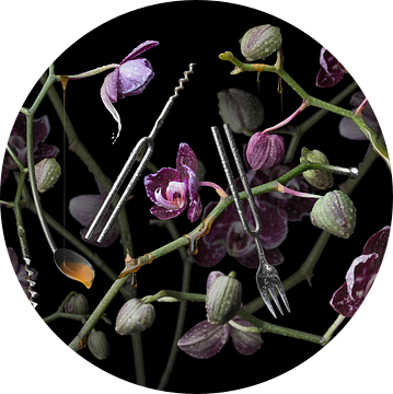 Orchidea diapasona van Olaf Bruhn