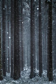 Winter sneeuwlandschap in het bos van Leny Silina Helmig