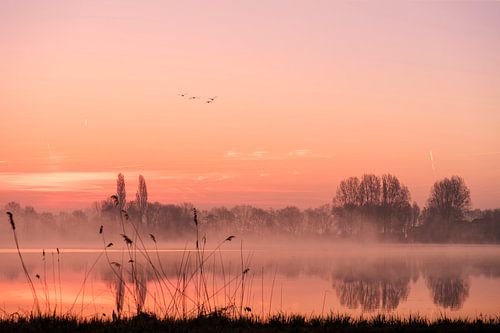 Wijde AA Zwolle by Erik Veldkamp