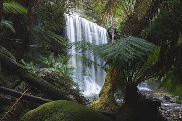 Russell Falls II by Ronne Vinkx