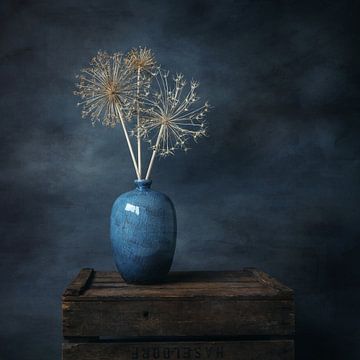 Stilleben, getrocknete Zierzwiebel mit blauer Vase, quadratisch. von Janny Beimers