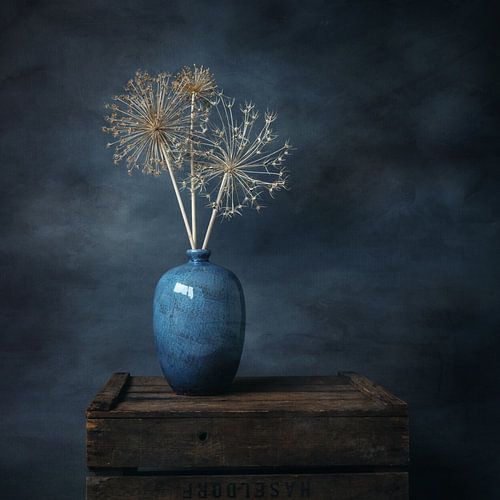Nature morte, oignon ornemental séché avec vase bleu, carré.