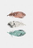 Plumes pastel