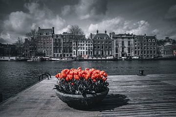 Amsterdam aux Pays-Bas n'est pas seulement noir et blanc