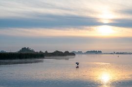 Terkaplester Poelen van Haaije Bruinsma Fotografie