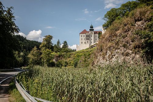 kasteel pieskowa in Polen
