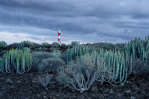 Leuchtturm in der Blauen Stunde – Teneriffas wilde Südküste von Rolf Schnepp