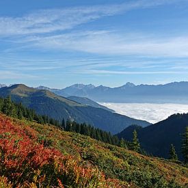 wunderschöne Herbststimmung auf den Bergen an einem sonnigen Tag mit Blick auf die Alpen und Nebel i von chamois huntress