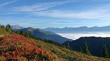 mooie herfstsfeer op de bergen op een zonnige dag met zicht op de alpen en mist in de vallei van chamois huntress