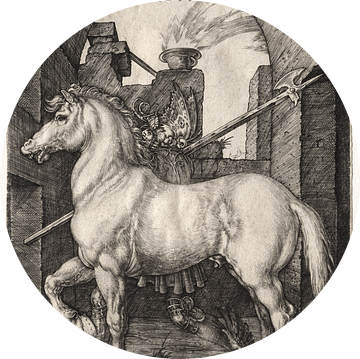 Het kleine paard, Albrecht Dürer van De Canon