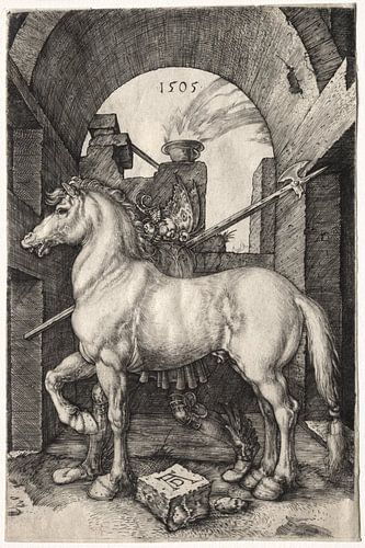 The small horse, Albrecht Dürer by De Canon