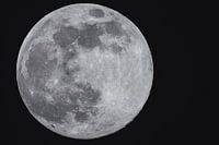 See the moon shine...