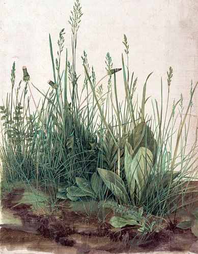 Albrecht Dürer. Het grote stuk gras (gezien bij vtwonen)