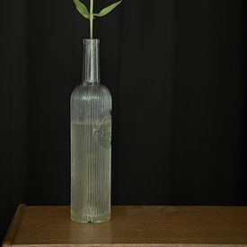 Rosa Blume in Glasflasche von Wilco & Casper