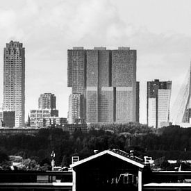 Skyline Rotterdam from the Great Church of Dordrecht by Lizanne van Spanje