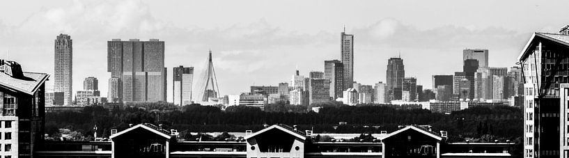 Skyline Rotterdam vanaf de Grote Kerk van Dordrecht van Lizanne van Spanje