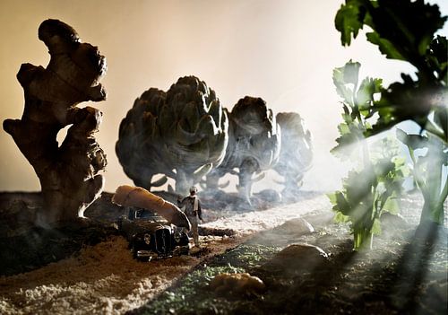 Landscape made of food