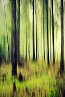 Moving Trees